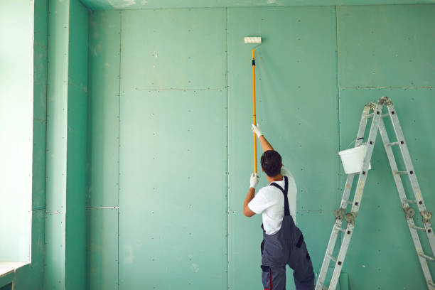 Best Mold Documentation for Insurance Claims  in Platteville, CO
