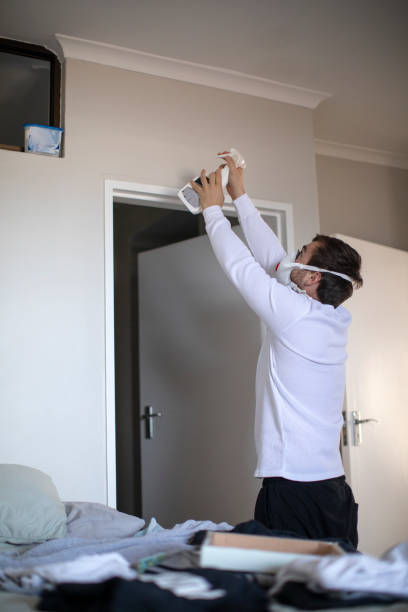 Best Attic Mold Removal  in Platteville, CO