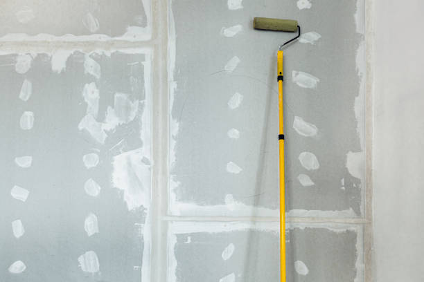 Best Forensic Mold Investigation  in Platteville, CO