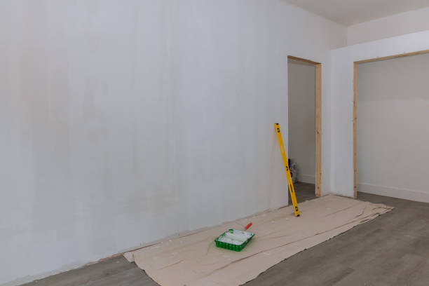 Trusted Platteville, CO Mold Removal Experts