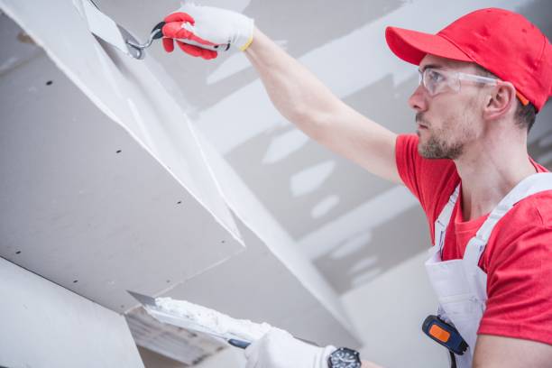 Best Water Damage & Mold Remediation  in Platteville, CO